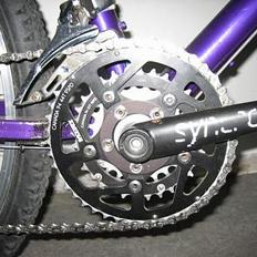 Klein Rascal 1993