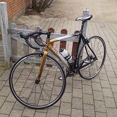 Nishiki Race Master