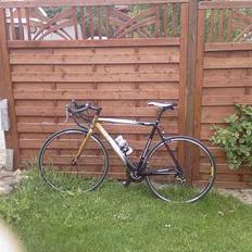 Nishiki Race Master