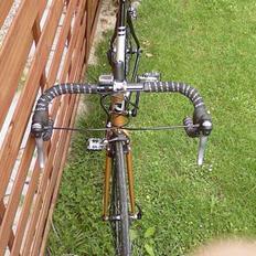 Nishiki Race Master