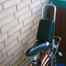 Raleigh chopper