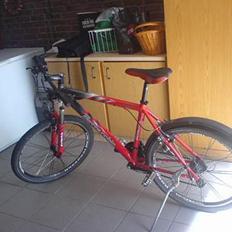 Bottecchia mountainbike