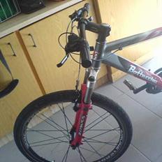 Bottecchia mountainbike