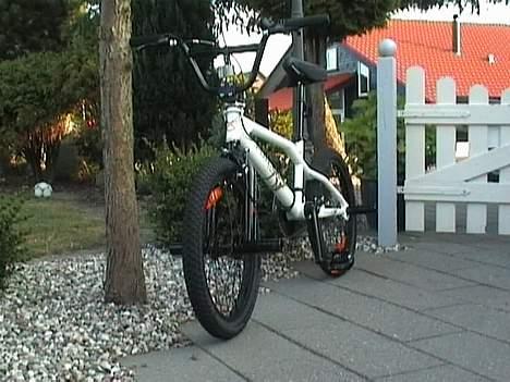 Centurion BMX Freestyle  billede 1