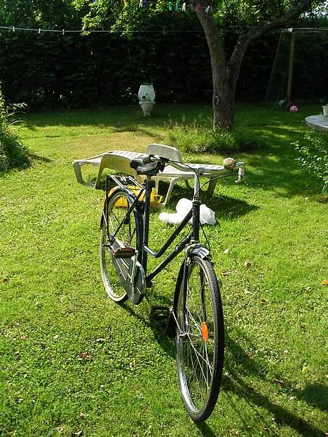 Puch Eleganse billede 2