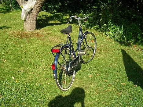 Puch Eleganse billede 6