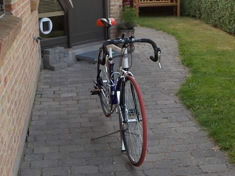 Rocky corsa billede 1