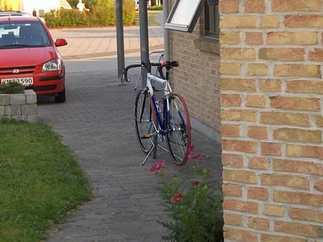 Rocky corsa billede 2