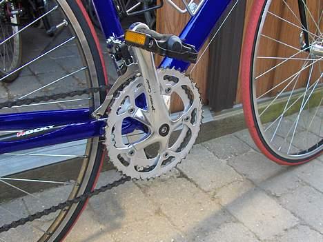 Rocky corsa billede 4