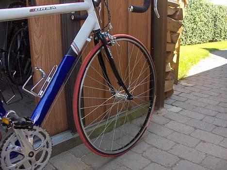 Rocky corsa billede 5