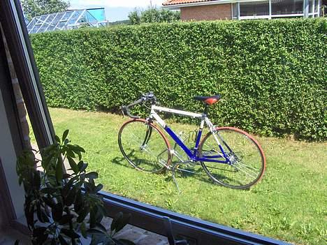 Rocky corsa billede 7