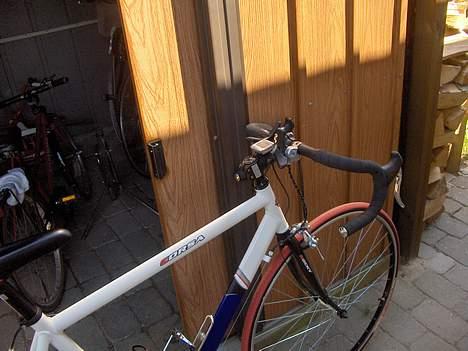 Rocky corsa billede 8