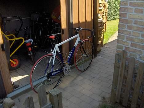 Rocky corsa billede 9