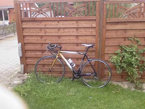 Nishiki Race Master billede 2