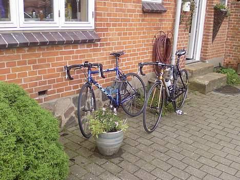 Nishiki Race Master billede 12