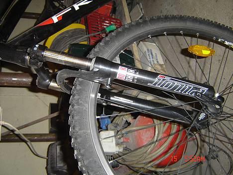 FRW BIG BEAR billede 3