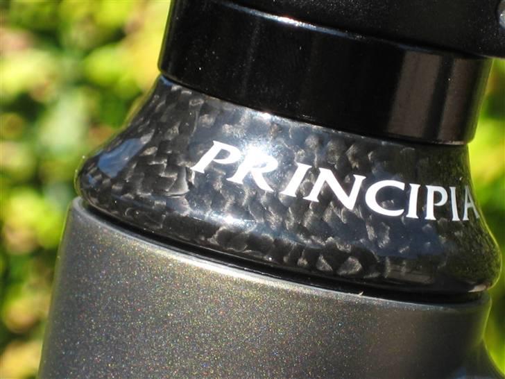 Principia Evolution billede 5