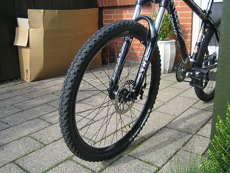 Amoeba Hussar "SOLGT" billede 3