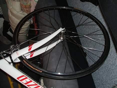 Specialized allez billede 4