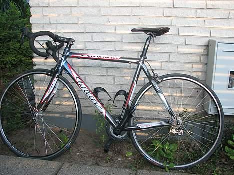 Wilier Evasion billede 2