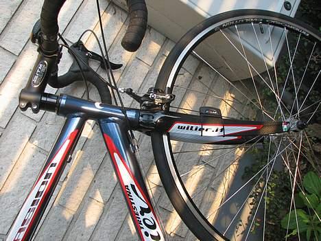 Wilier Evasion billede 10