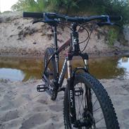 Cannondale SL 5 - SOLGT -