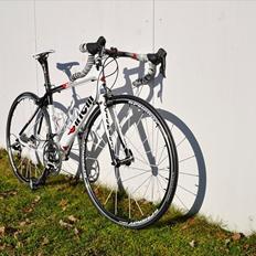 Cinelli Willin SL
