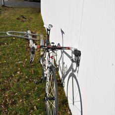 Cinelli Willin SL