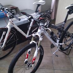 Bottecchia FR 699 Gardena Carbon 