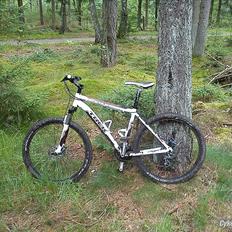 Trek 3700 disc