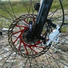Ideal TARGET