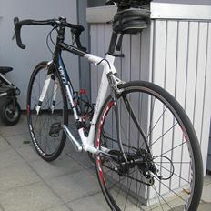 Specialized Allez Comp Elite 2006