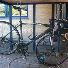 Specialized Allez