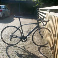 Specialized Allez