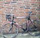 Zegno full carbon