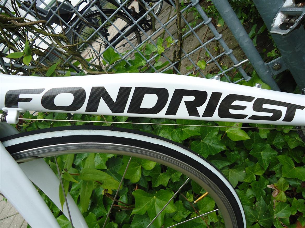 Fondriest Domino Plus billede 12