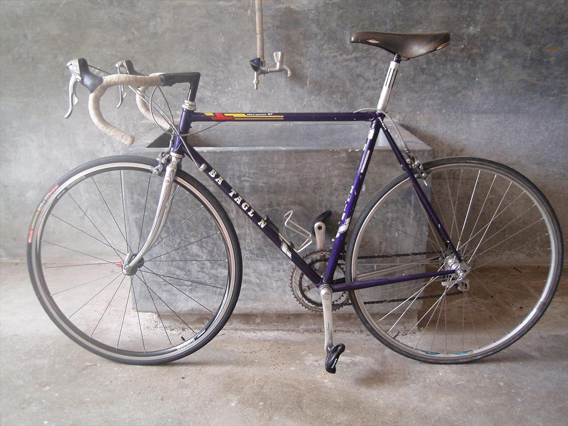Battaglin World Champion '87 billede 2