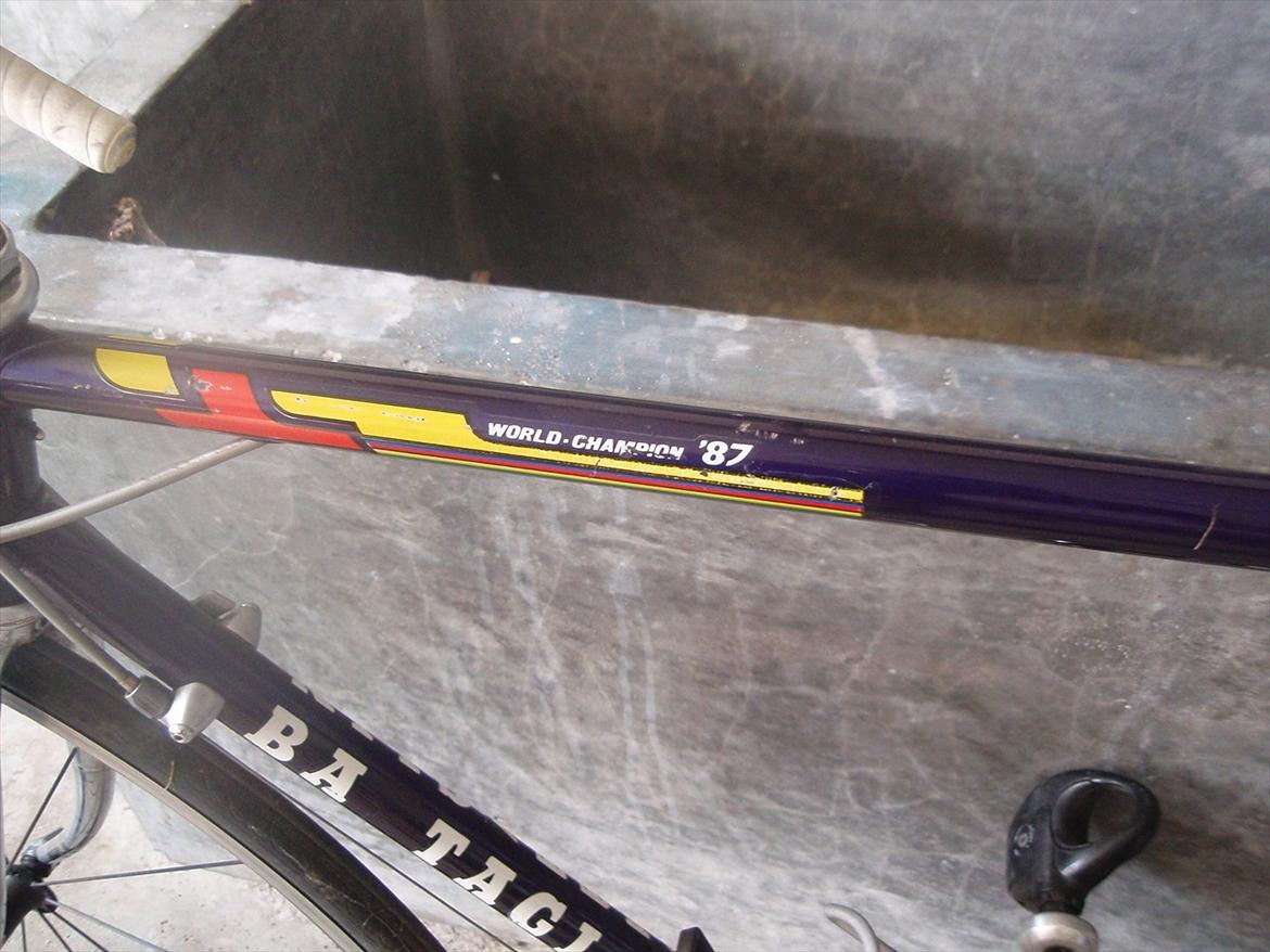Battaglin World Champion '87 billede 10