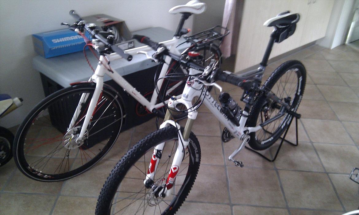 Bottecchia FR 699 Gardena Carbon  billede 2