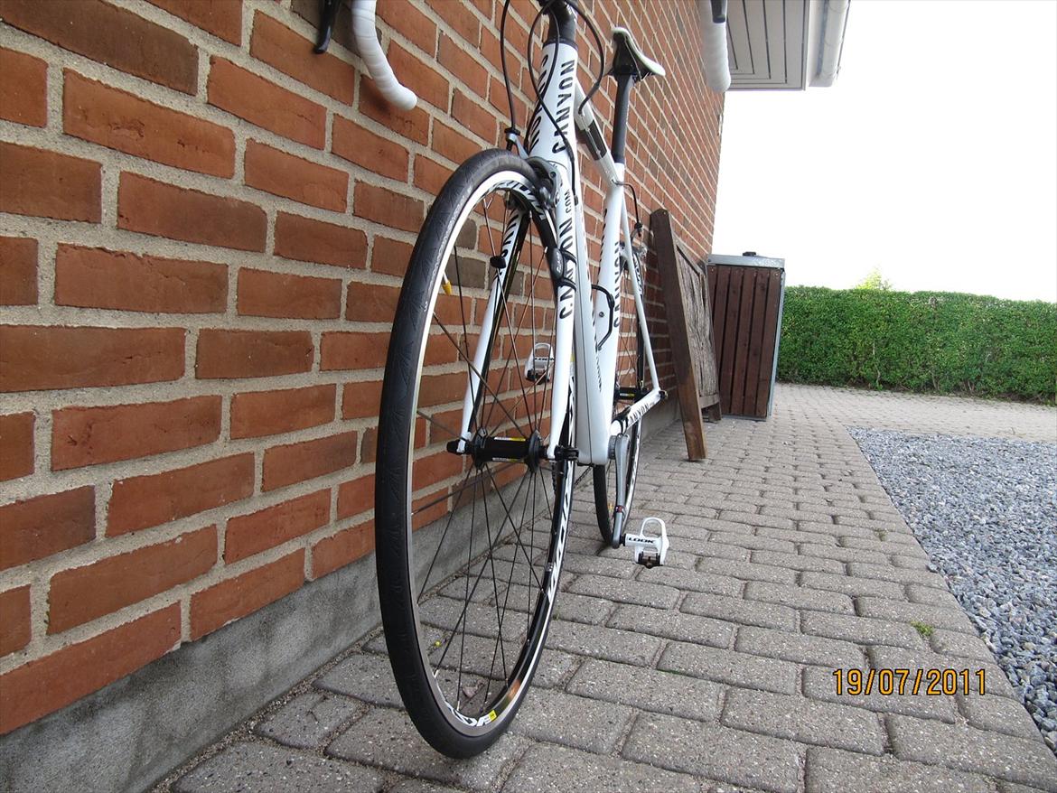 Canyon Ultimate CF 8.0 billede 6