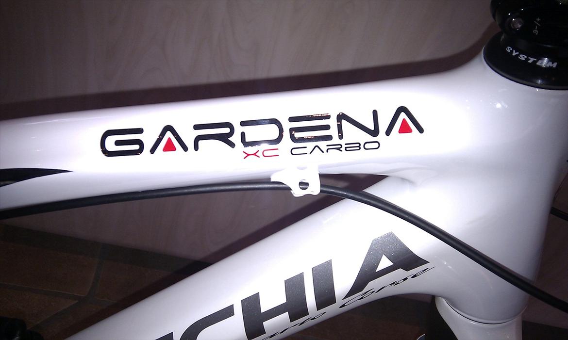 Bottecchia FR 699 Gardena Carbon  billede 12