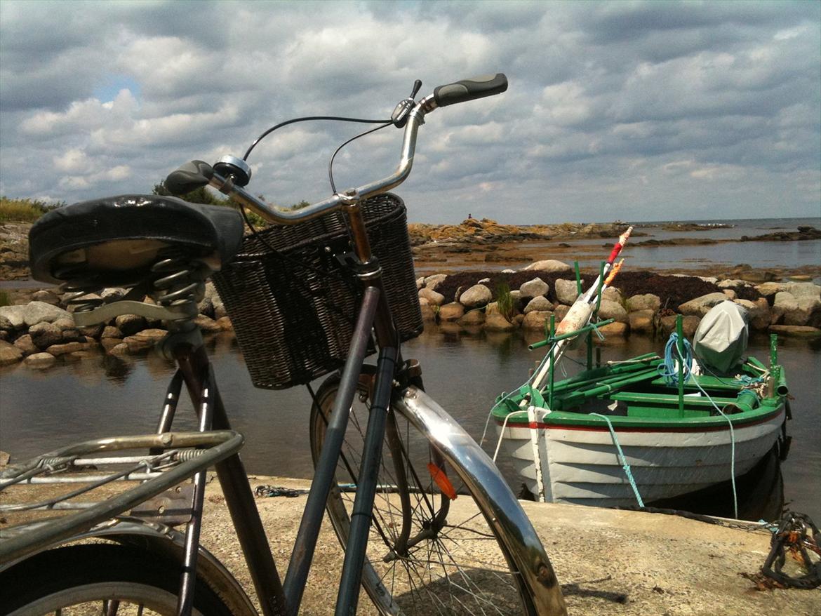 BKC Den danske cykel =) billede 14