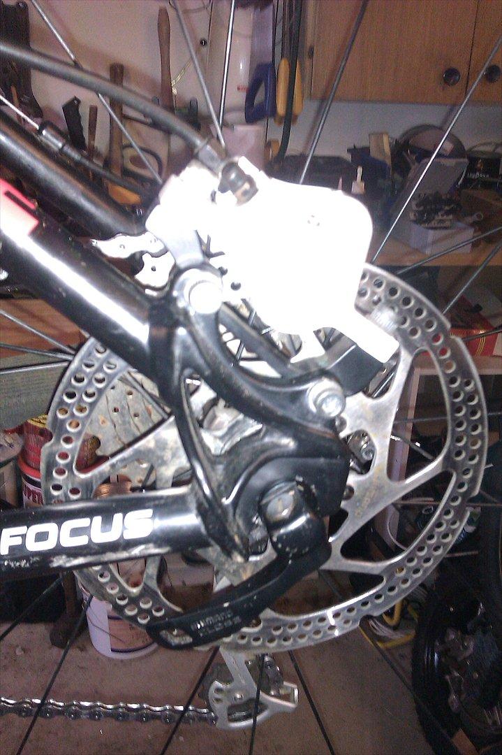 Focus Black Limited billede 2