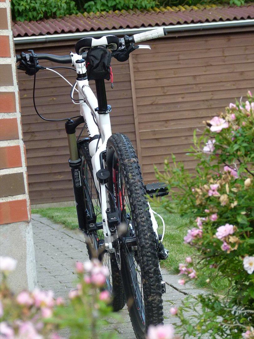 Specialized Rockhopper SL Pro - Skråt bagfra billede 14