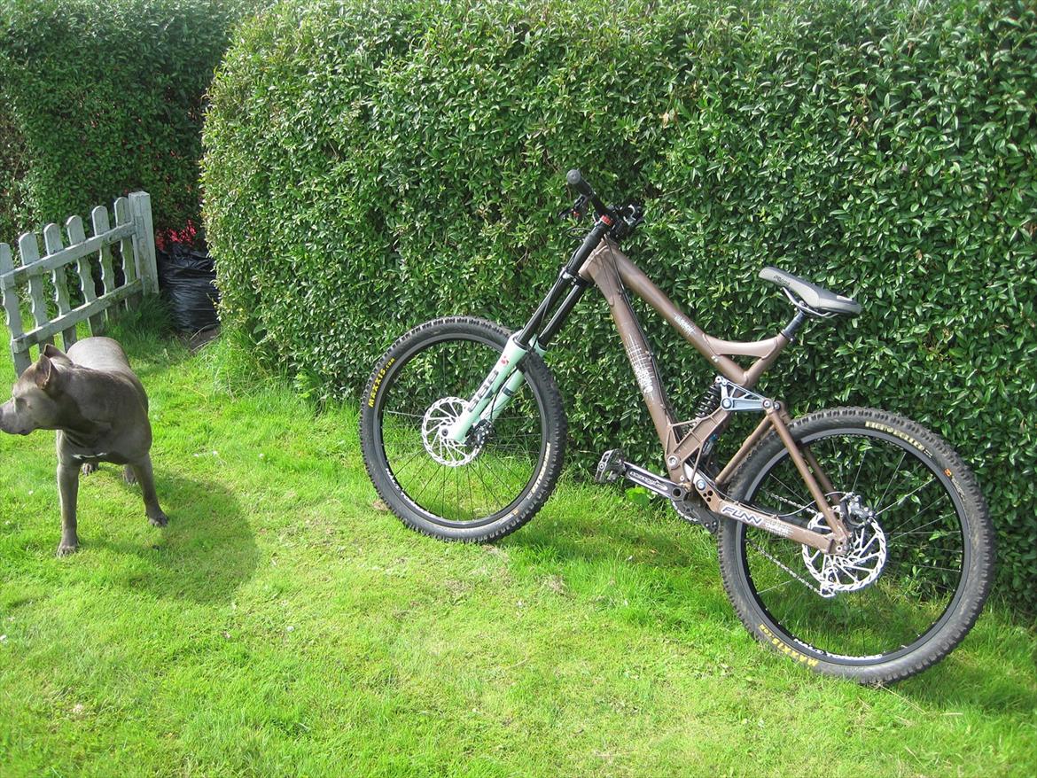 Iron Horse Sunday Elite solgt billede 13