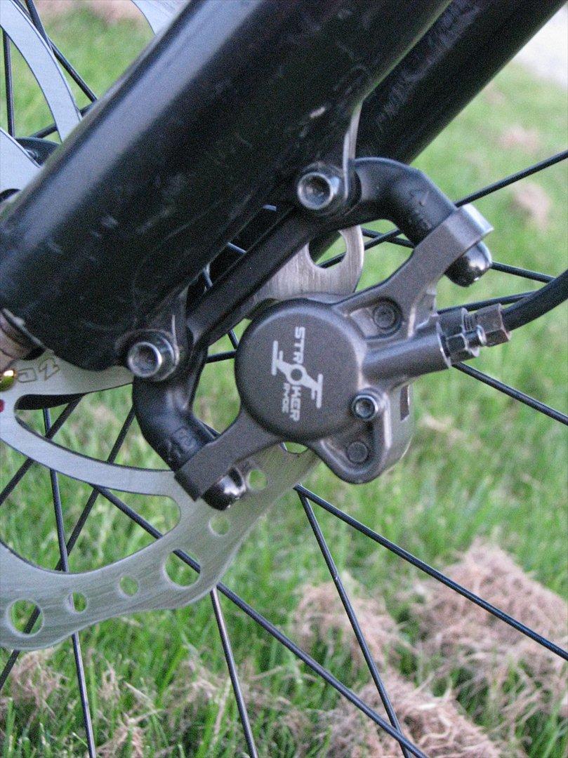 Beone Karma 1.0 - HAYES Stroker RYDE billede 6