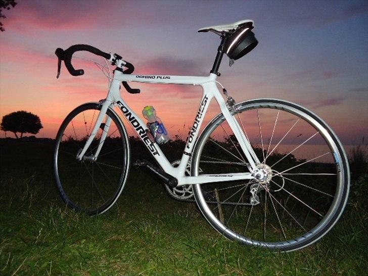 Fondriest Domino Plus billede 9