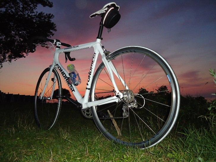 Fondriest Domino Plus billede 10