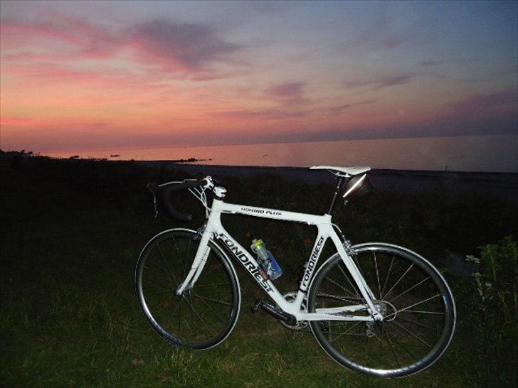 Fondriest Domino Plus billede 11