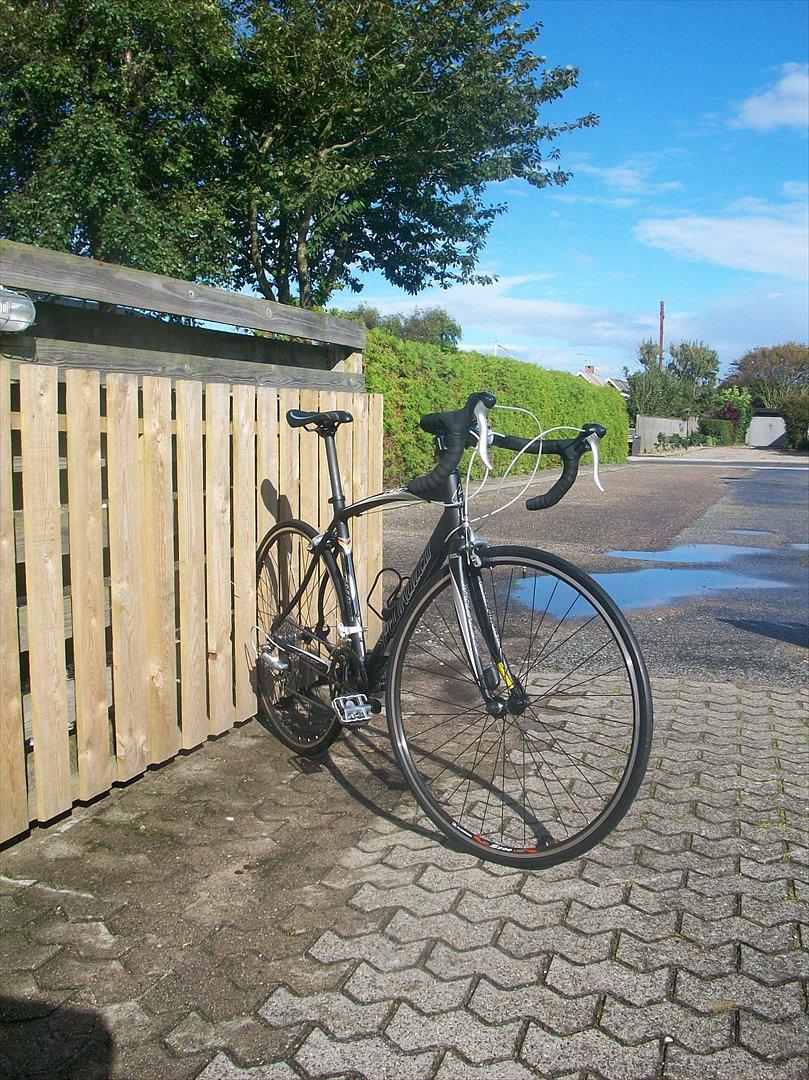 Specialized Allez billede 4